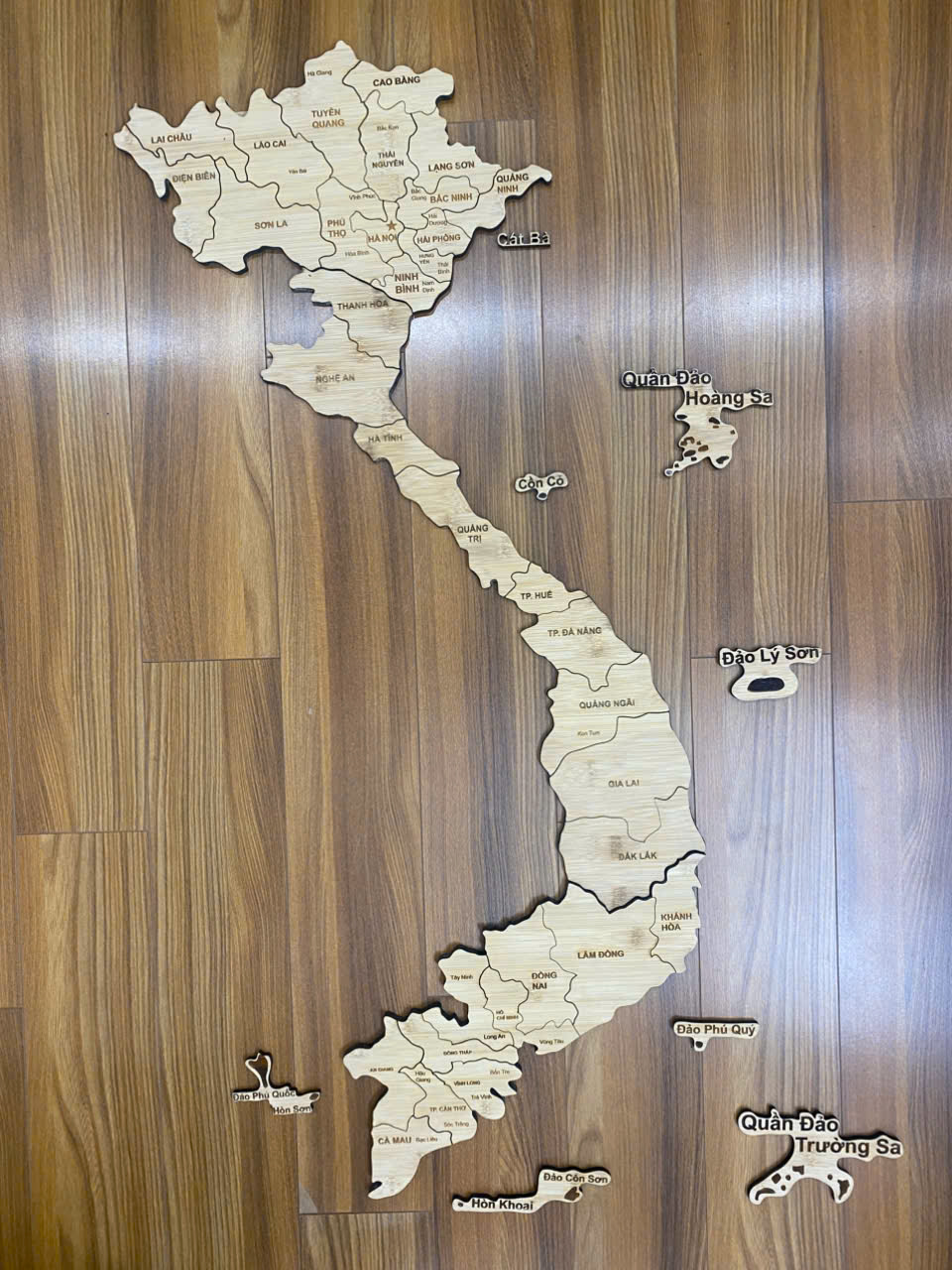 Bản đồ tre Việt Nam